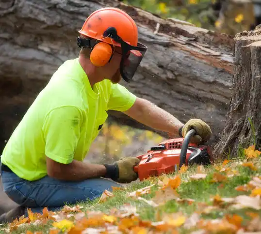 tree services Lloyd Harbor